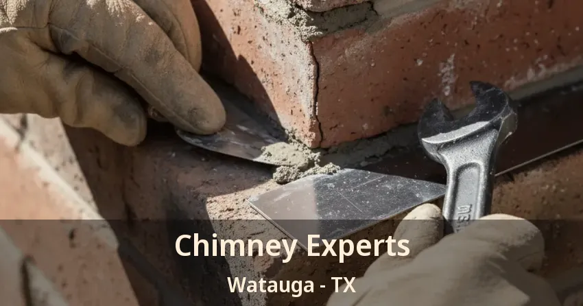 Chimney Experts Watauga - TX