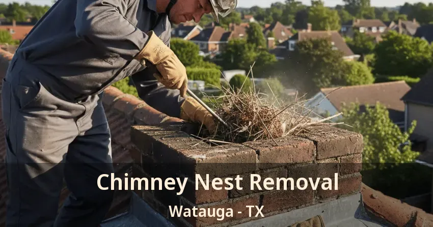Chimney Nest Removal Watauga - TX