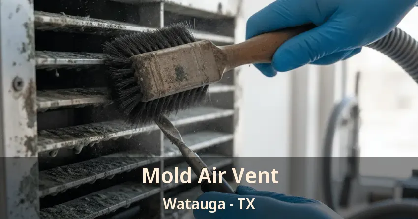 Mold Air Vent Watauga - TX
