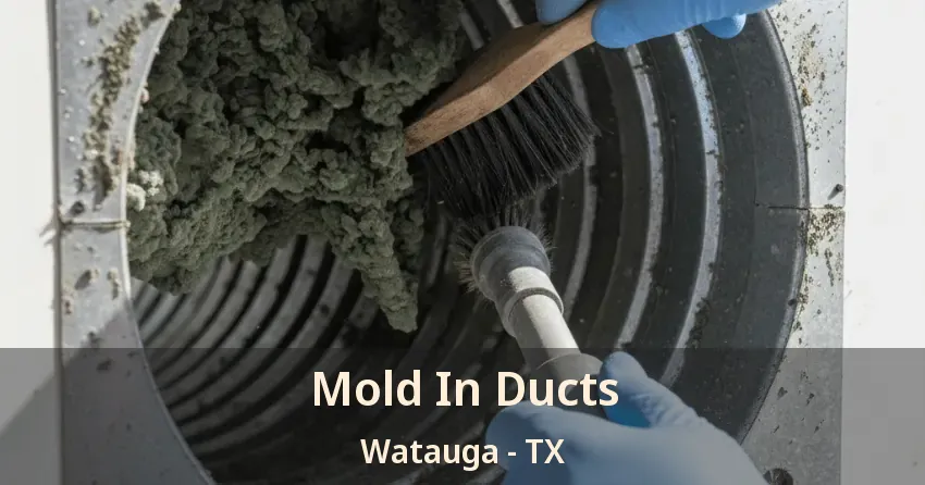 Mold In Ducts Watauga - TX
