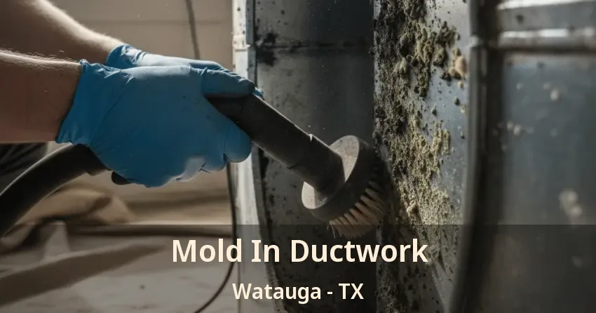 Mold In Ductwork Watauga - TX Mold In Ductwork Watauga - TX