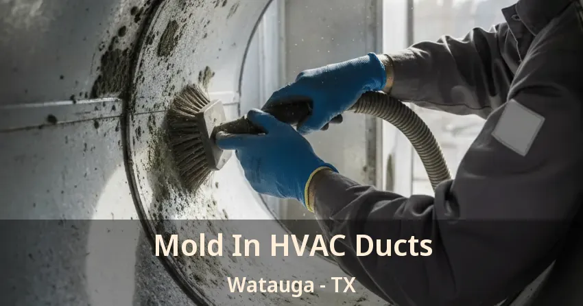 Mold In HVAC Ducts Watauga - TX