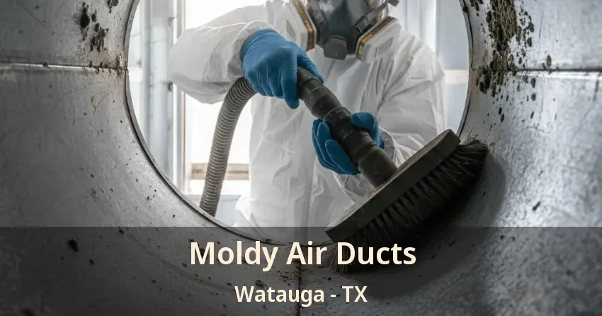 Moldy Air Ducts Watauga - TX